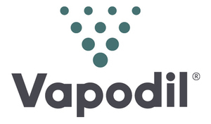 Vapodil Solution de nettoyage écologique - Conseillère Régionale Mélissa Maiore Guérande, Professionnel indépendant