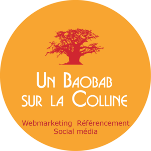 Un Baobab sur la colline Lyon, Consultant