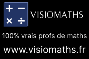 visiomaths Épinal, Professeur