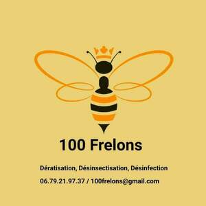 100 frelons  Meillac, Entreprise de désinfection, désinsectisation et dératisation