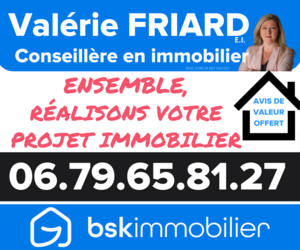 VALERIE FRIARD BSK IMMOBILIER Sylvains-les-Moulins, Agent commercial