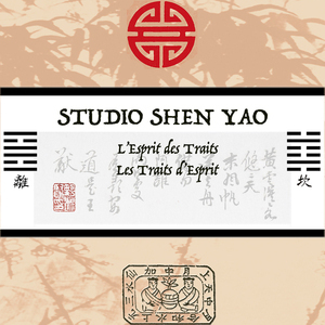 Association Yi Jing - Studio Shen Yao Marseille, Professionnel indépendant