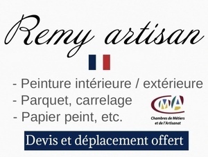 Remy Stevie Paris 15, Professionnel indépendant