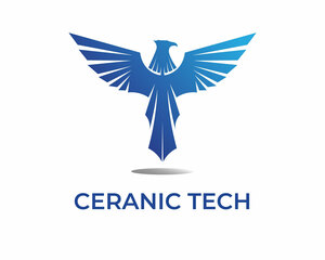 CERANIC INFORMATIQUE SERVICES Gennevilliers, Webmaster, Autre prestataire informatique, Consultant