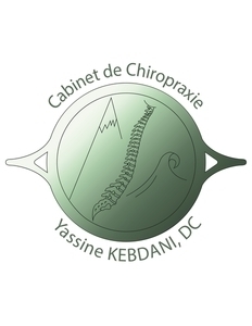 Yassine KEBDANI Chiropracteur Billère, Professionnel indépendant