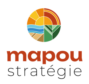 Mapou Stratégie Saint-Denis, Conseiller social, Conseiller en organisation