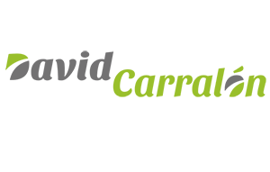 David Carralon Paris 14, Consultant, Conseiller en marketing