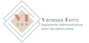 VTSAP Nantes, Assistant informatique et internet à domicile