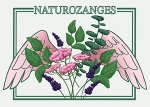 Naturozanges Wœrth, Professionnel indépendant