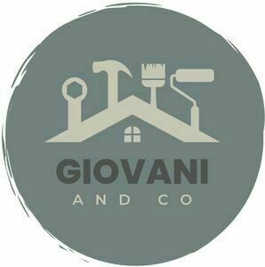 Giovaniandco Parmain, Professionnel indépendant