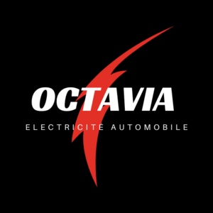 Octavia auto Rivière-Salée, Electricien