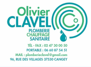 Olivier Clavel Cangey, Professionnel indépendant