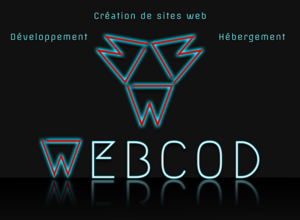 Webcod Pont-à-Mousson, Développeur, Designer web, Webmaster