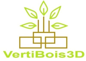 VERTIBOIS3D Lépinas, Autre prestataire de services aux entreprises, Autre prestataire de services