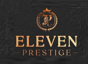 ELEVEN PRESTIGE Goussainville, Chauffeur, Autre prestataire de services, Autre prestataire de services à la personne, Autre prestataire de services aux entreprises