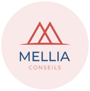 Mellia Conseils Saint-Quentin, Professionnel indépendant