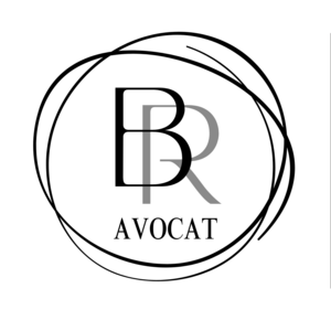 Benoît Roux Avocat Paris 10, Professionnel indépendant