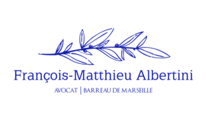 François-Matthieu Albertini Marseille, Professionnel indépendant