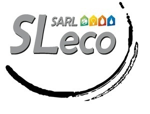 SLeco Choue, Professionnel indépendant