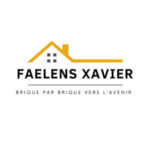 Faelens Xavier Pontoise, Professionnel indépendant