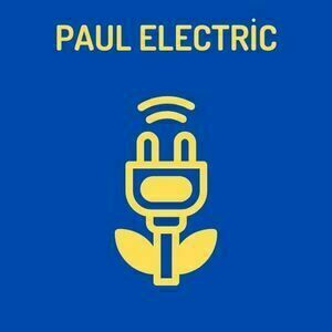 Paul Electric Ciré-d'Aunis, Professionnel indépendant