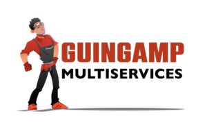 Sébastien Minez Guingamp, Professionnel indépendant