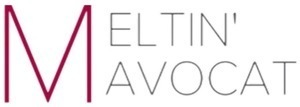 Meltin'Avocat Paris 16, Professionnel indépendant