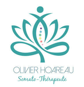 Olivier Hoareau Dangé-Saint-Romain, Professionnel indépendant