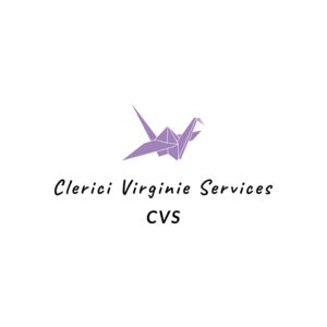 Virginie Clerici Périgueux, Professionnel indépendant