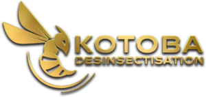 KOTOBA 29 Plomeur, Entreprise de désinfection, désinsectisation et dératisation