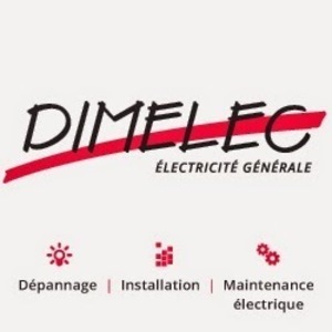 Dimelec Le Haillan, Professionnel indépendant