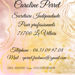 Caroline Perret Le Villars, Prestataire de services administratifs divers