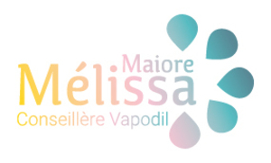 Nettoyeur Vapeur : Vapodil - Mélissa Maiore Guérande, Conseiller médical, Conseiller commercial