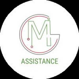 ASSISTANCE GM Levallois-Perret, Autre prestataire de services
