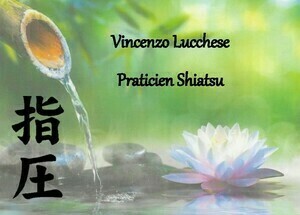 Vincenzo Lucchese Nomexy, Professionnel indépendant