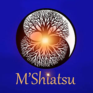 M'Shiatsu Montricoux, Professionnel indépendant