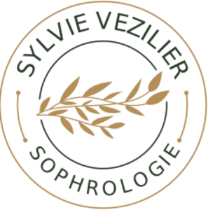 Sylvie Vézilier Annezin, Professionnel indépendant