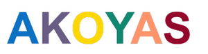 AKOYAS Nantes Sud Bouguenais, Consultant, Coach