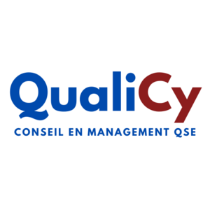 Cyrine HAMMAMI (QualiCy) Paris 11, Consultant