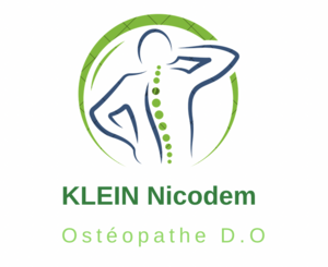 Nicodem KLEIN Fontaines, Professionnel indépendant