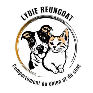 EI Lydie Reungoat Lannion, Éducateur