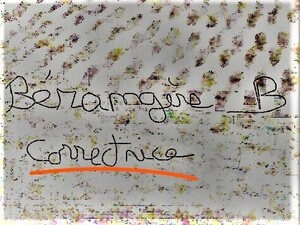 Bérangère B, correctrice freelance Brunoy, Correcteur, Conseiller littéraire, Conseiller artistique, Rédacteur