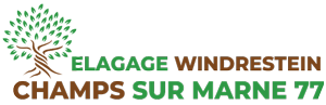 Elagage Windrestein Champs-sur-Marne, Jardinier