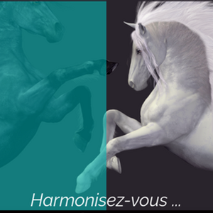 Muriel Le Rolland sophrologue & hypnothérapeute Verneuil-sur-Seine, Hypnothérapeute