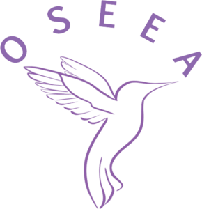 OSEEA Fonsorbes, Conseiller en aide relationnelle, Autre prestataire de formation initiale et continue