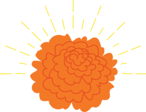 Clémence Colliou Khan Paris 20, Professionnel indépendant