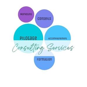 Consulting services Lormaison, Conseiller d'entreprise