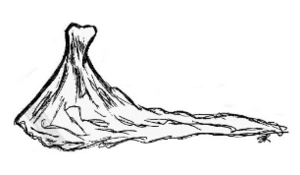 Evanescence Bonneville, Professionnel indépendant