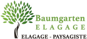 BAUMGARTEN ELAGAGE : Elagage 28 à Chartres Chartres, Jardinier, Paysagiste