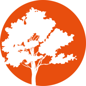 Caroline Wartel Massy, Professionnel indépendant